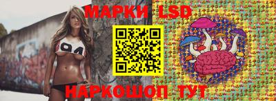 СК Шахты