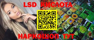 СК Шахты