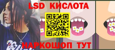 СК Шахты