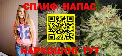 тгк Шелехов