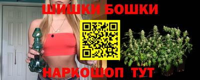 СК Шахты