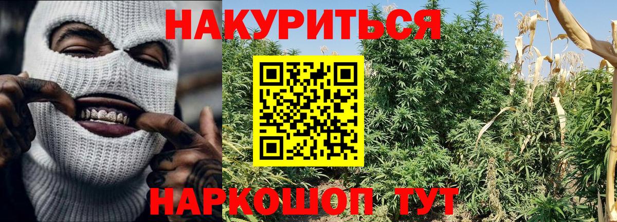 Борисоглебск  МАРИХУАНА планчик  Каннабис VHQ  Вход с VPN  Шишки марихуана THC 21% 